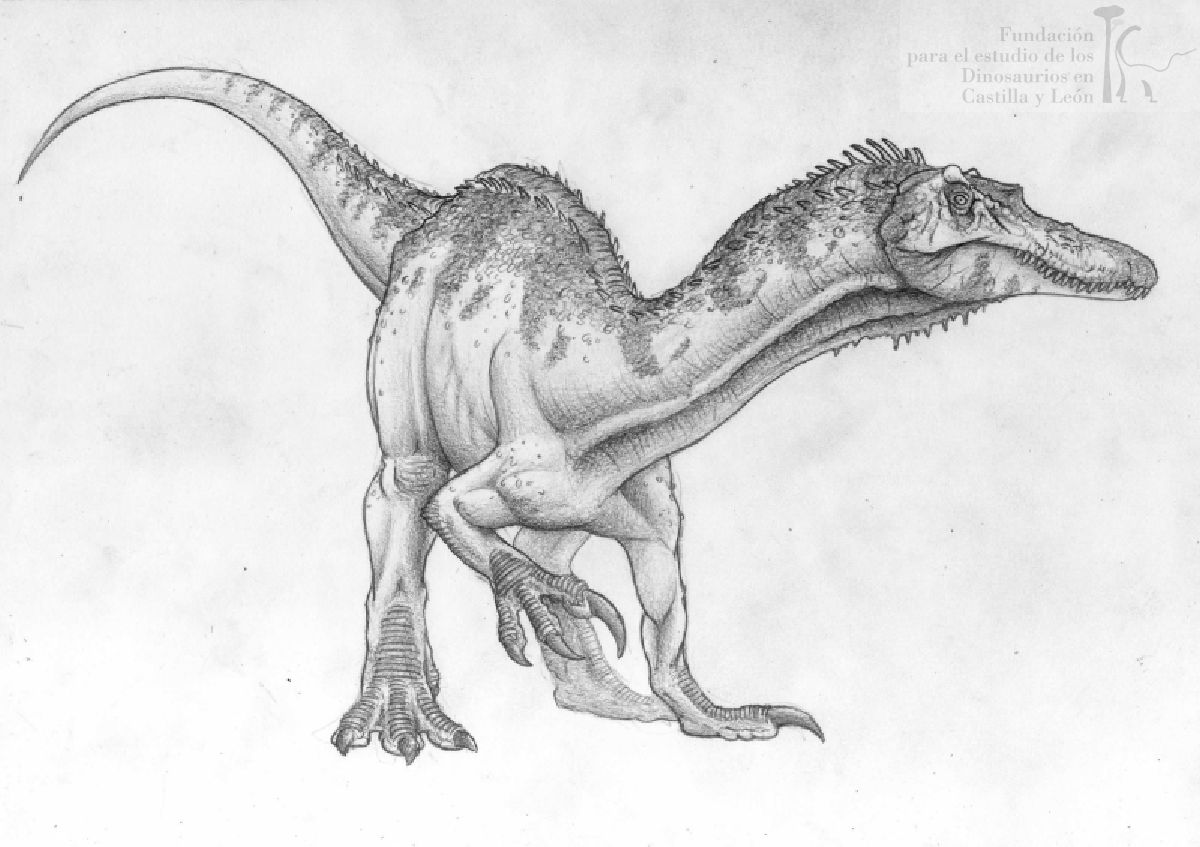 Baryonyx_walkeri