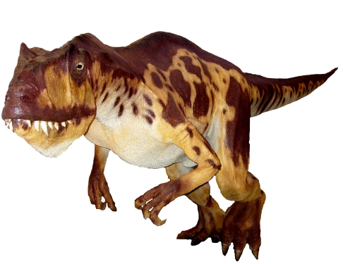 allosaurus museo salas